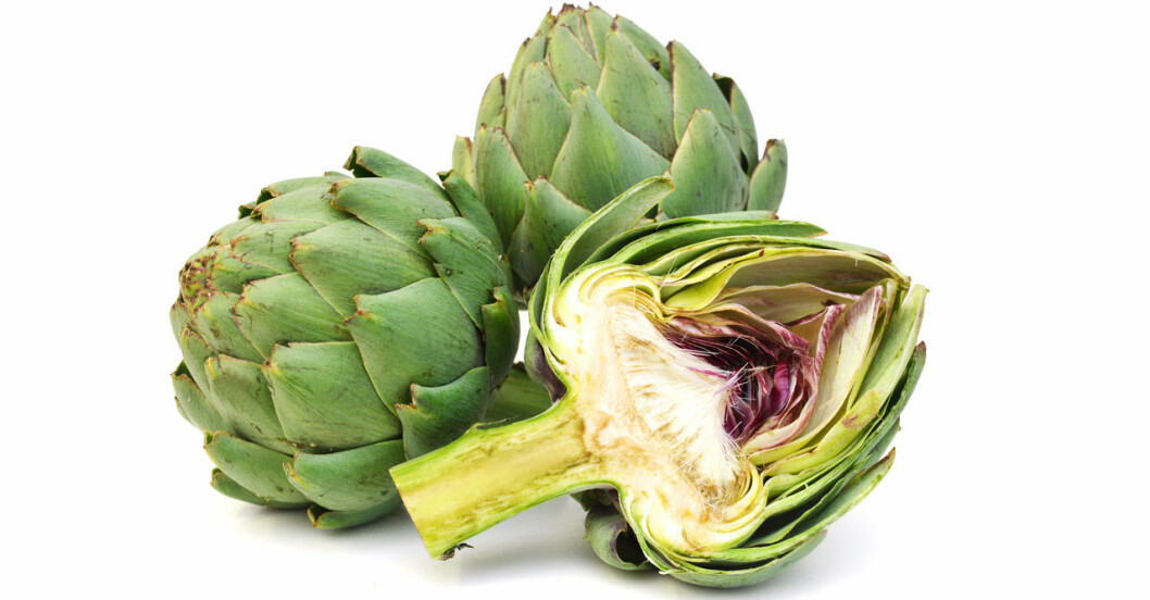 Ångkokt kronärtskocka är allra nyttigast, har forskning visat. Antioxidanterna i kronärtskockan kan sänka kolesterolvärdet.