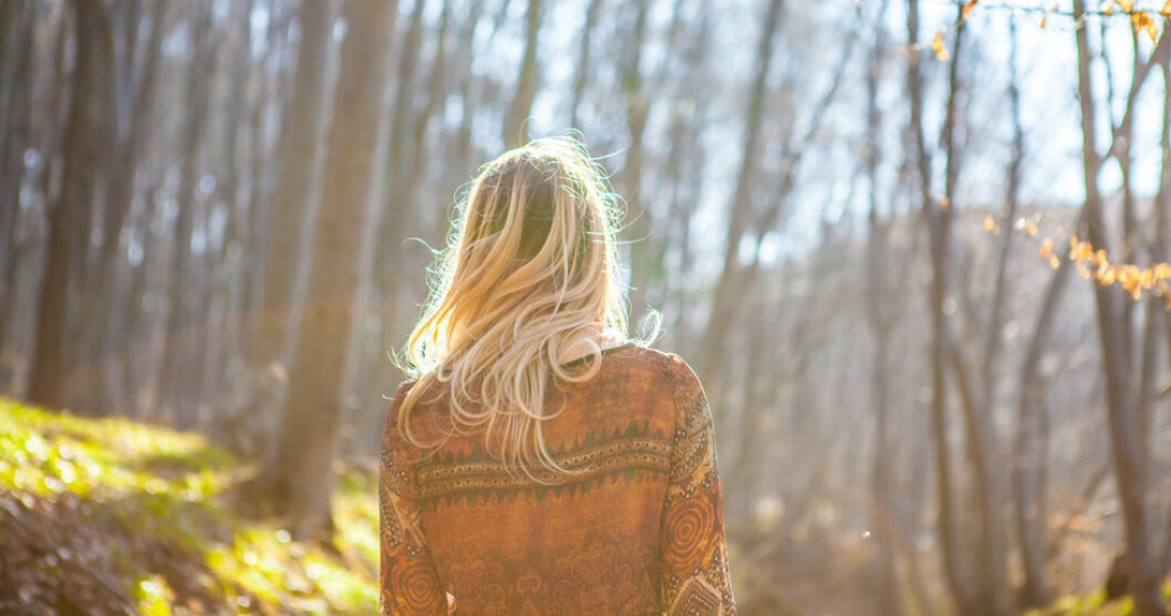 Mindfulness kan ha motsatt effekt för somliga. Shinrin-yoku påminner lite om mindfulness – fast i skogen.