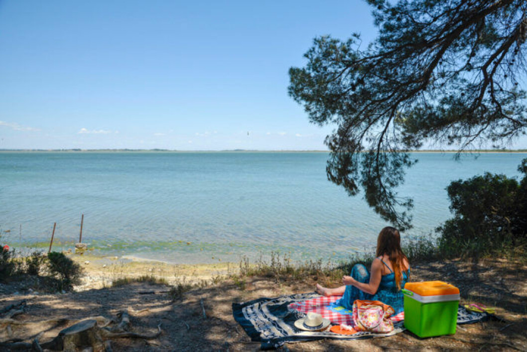 Det är inte helt fel att att uppsöka skuggläge då och då. Bild: IBL Picnic I skugga vid strand