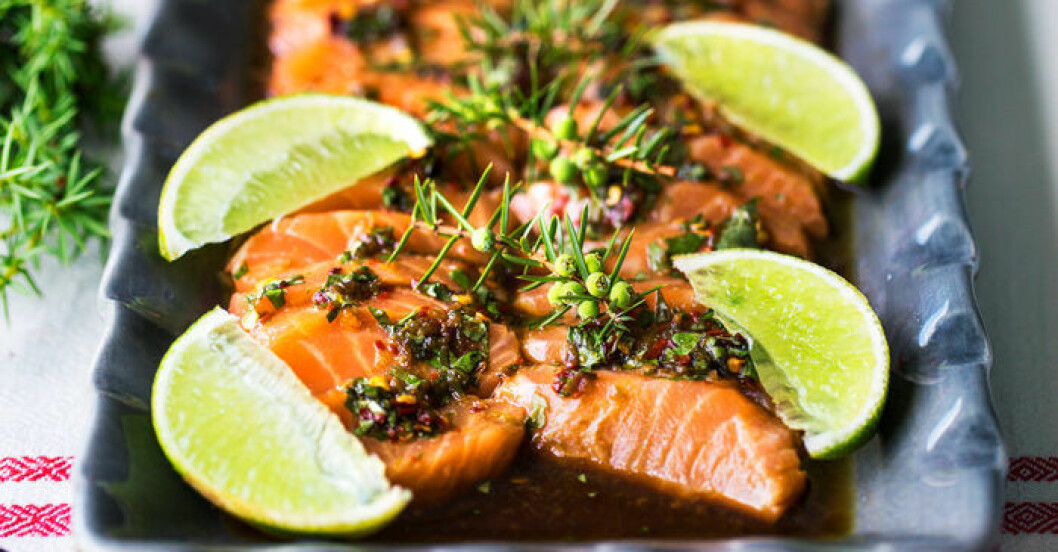 Snabbgravad lax med koriandersås på fat.