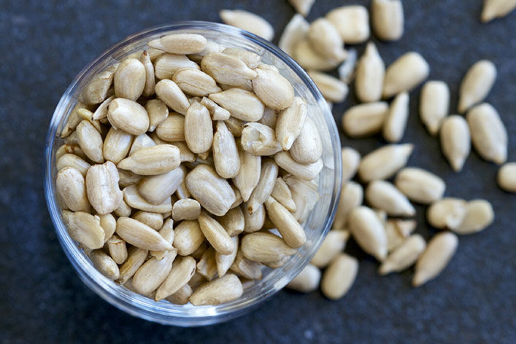 solros-seeds-protein-mabra