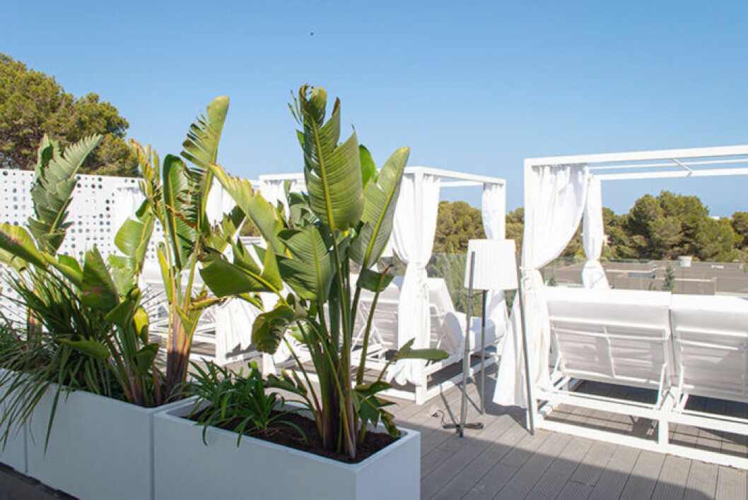 En god bok i skuggan – ja tack! Som Dona taklounge