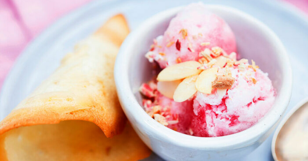 Foto: Betina Hastoft Rabarbersorbet