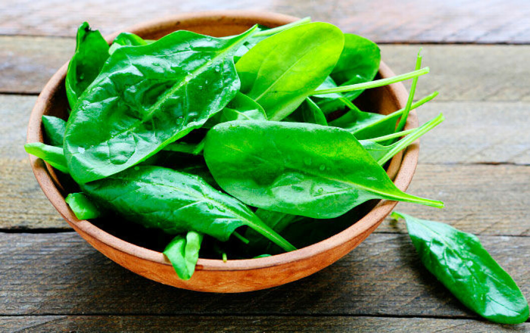 spenat-karl-alfred-järn-sänk-blodtrycket-gå-ner-i-vikt-rasa-i-vikt-gröna-bladgrönsaker-antioxidanter