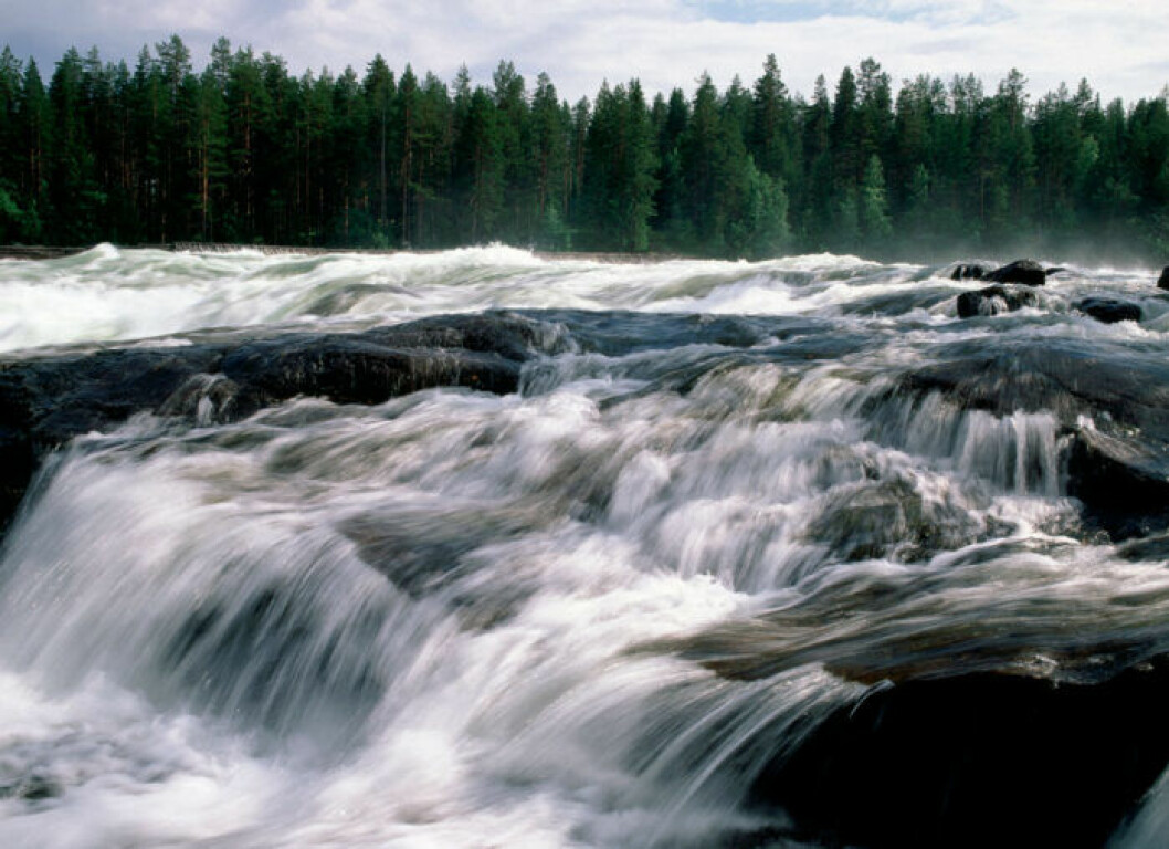 Foto: Bengt Olof Olsson/Bildhuset/TT Storforsen, Älvsbyns kommun