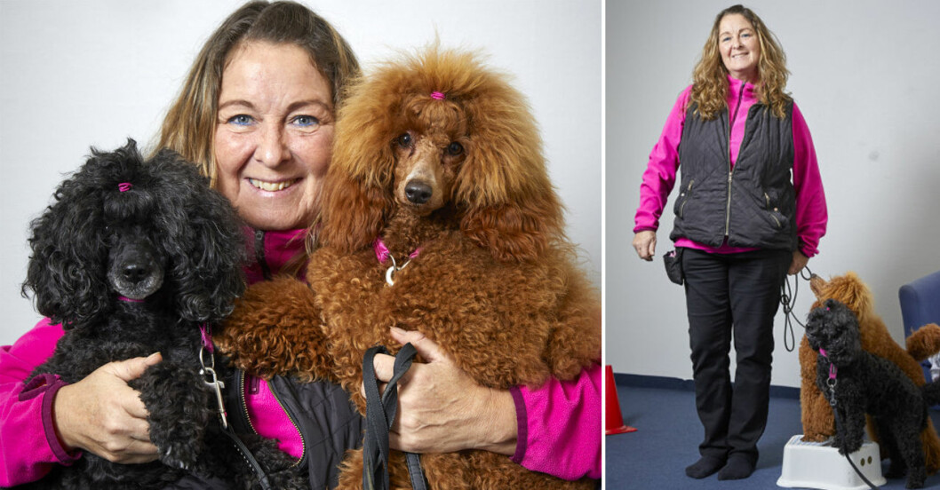 Stroke hjälp av hund.