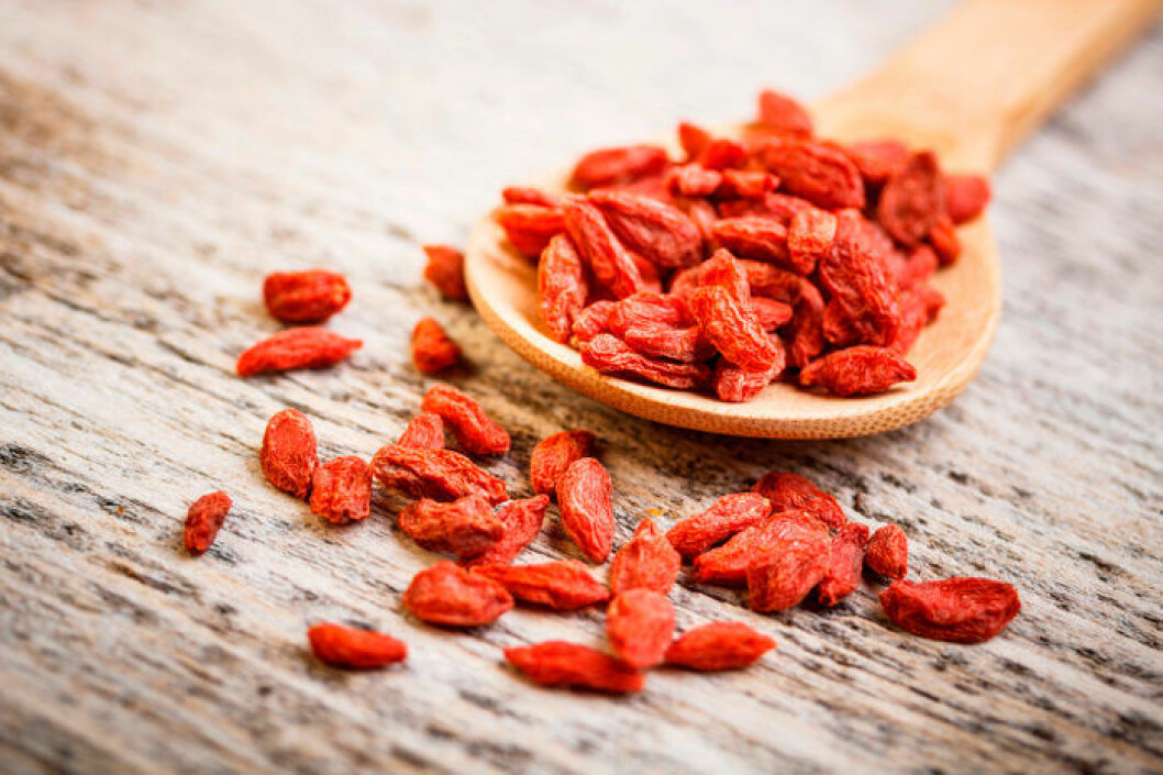 superfood gojibär