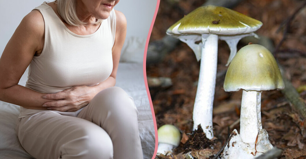 Kvinna håller för magen som hon har ont intill bild på svamp
