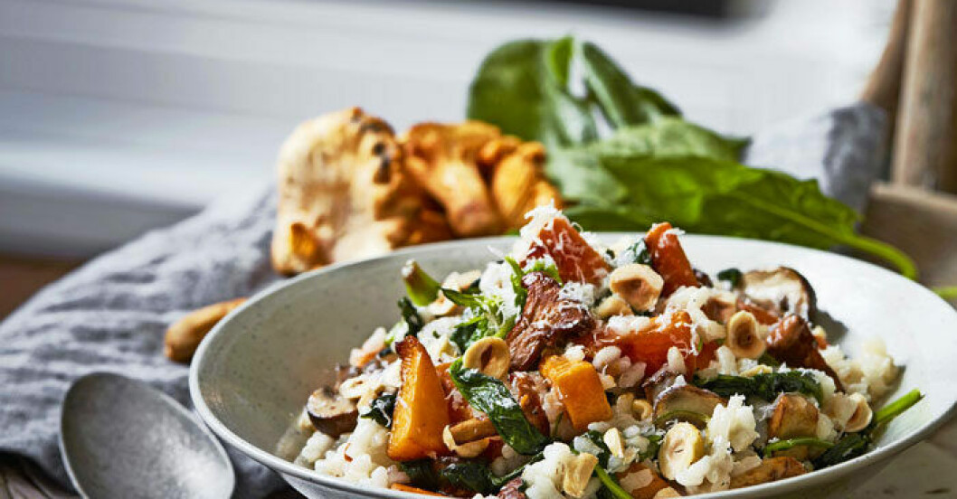 risotto med svamp