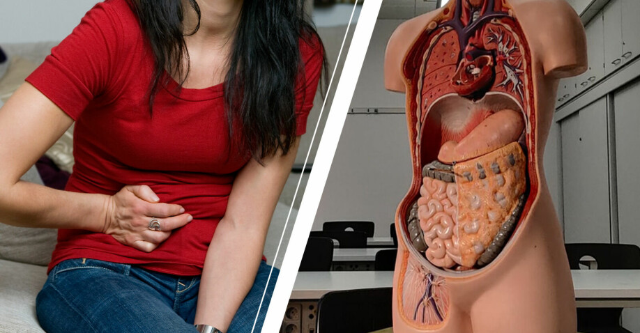 kvinna håller för magen och en anatomisk docka som visar mänskliga tarmsystemet