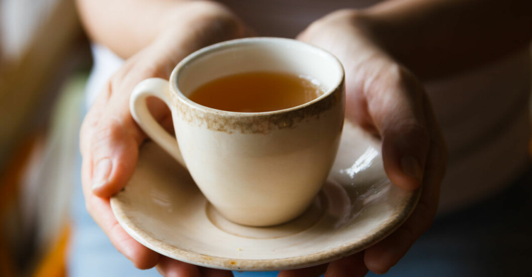 hands holding teacup