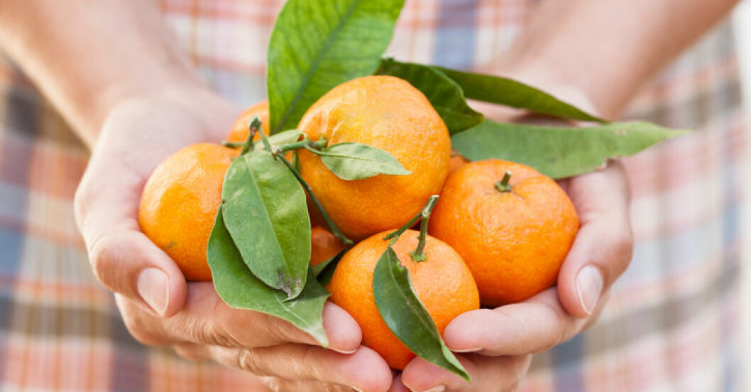 Skillnad mellan clementin mandarin MåBra