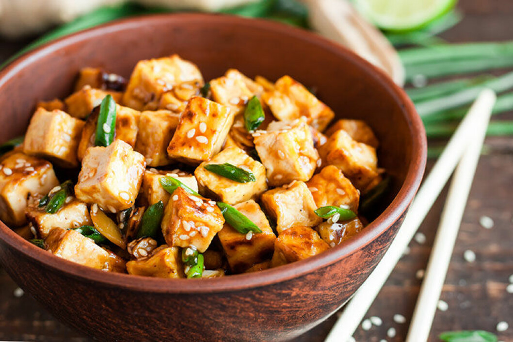 tofu-protein-mabra