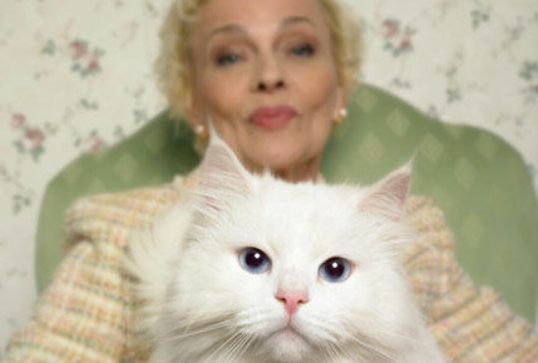 toxoplasma