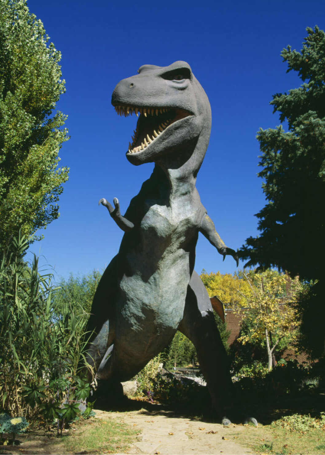 T-Rex är mäktigt men inget namn som tillåts. Bild: IBL T-Rex. Nya namnlagen