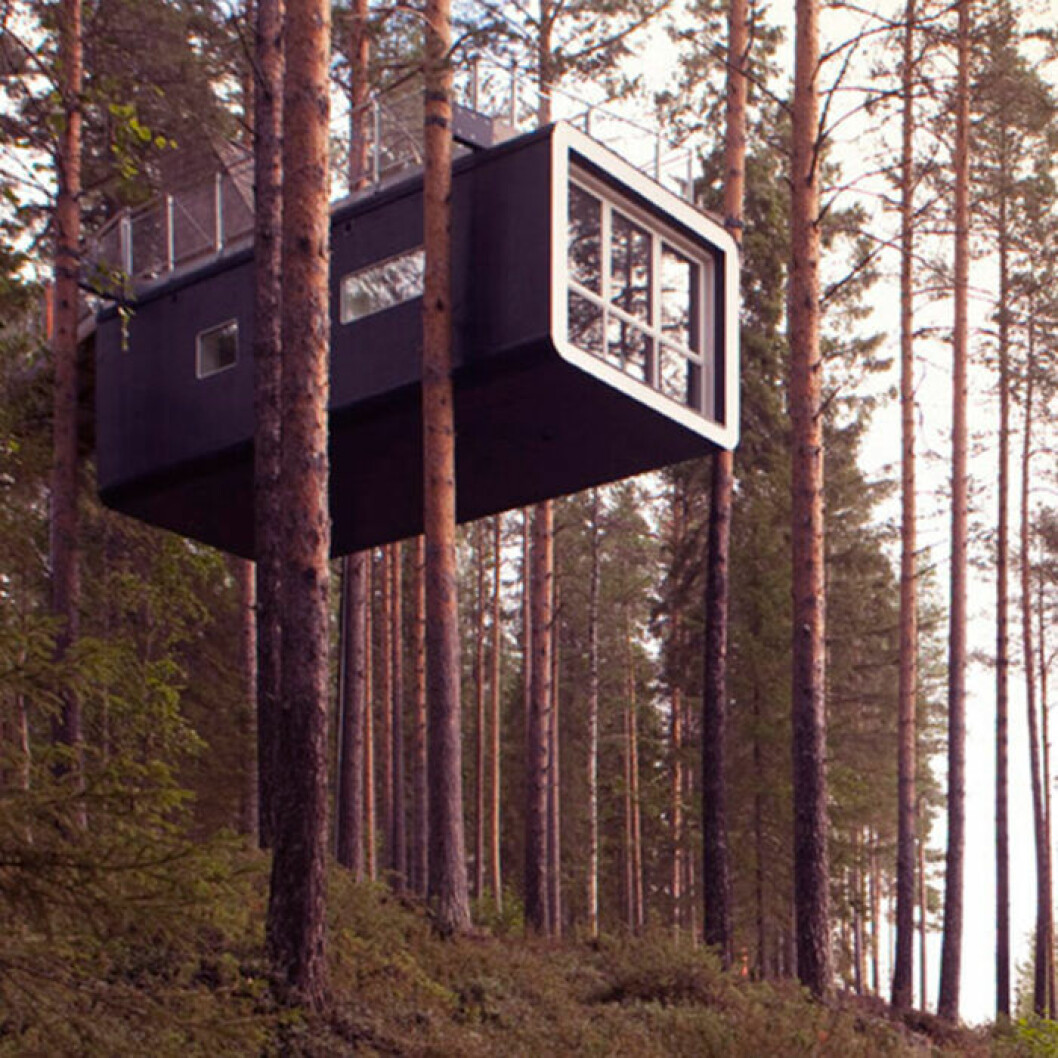 Tree hotel