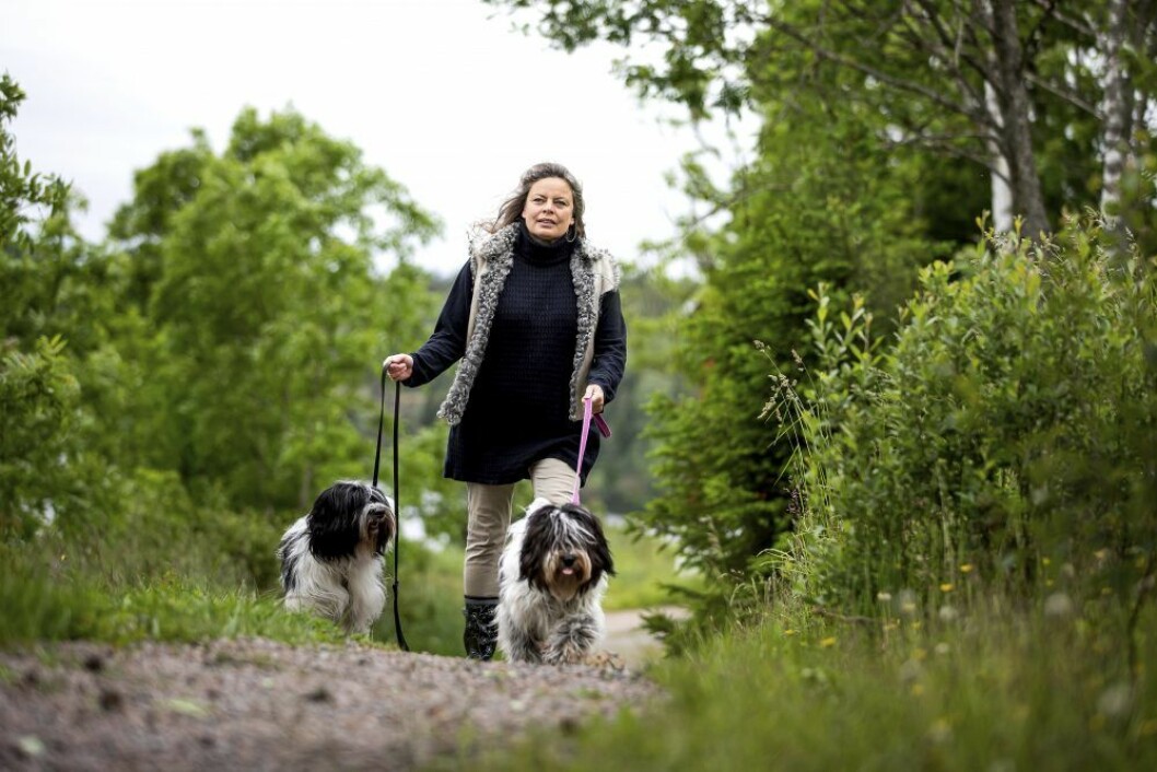När Suzanna var som sjukast orkade hon knappt gå ut med hundarna. Nu uppskattar hon promenaderna och alla små upplevelser desto mer. Kvinna med långt grått hår promenrerr i grönskan med två lurviga hundar.