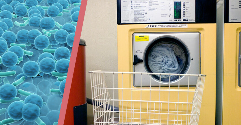 bakterier i närbild samt bild på gemensam tvättstuga