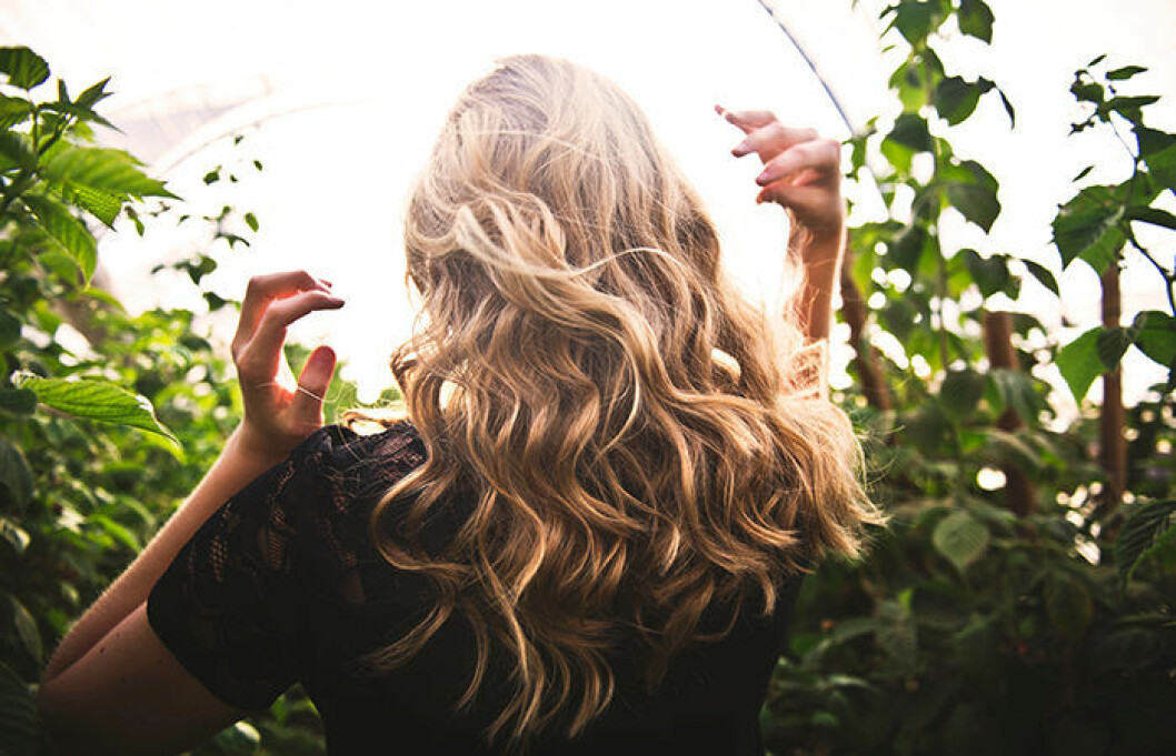 Foto: Tim Mossholder/Unsplash