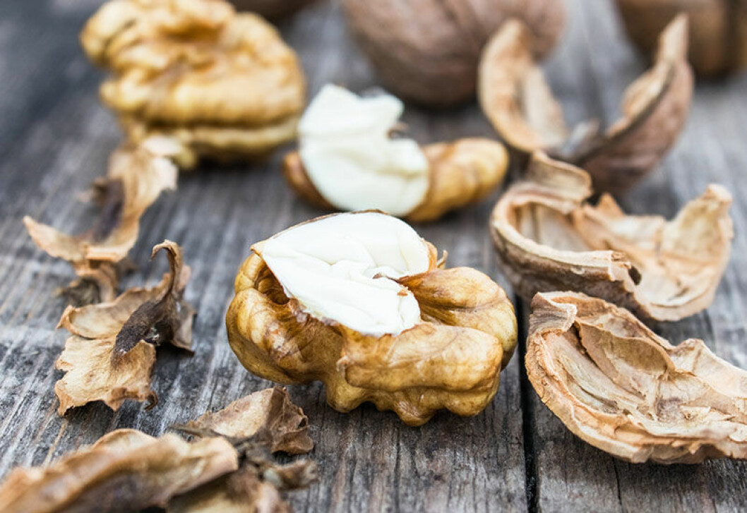 valnotter proteinberikar din mat