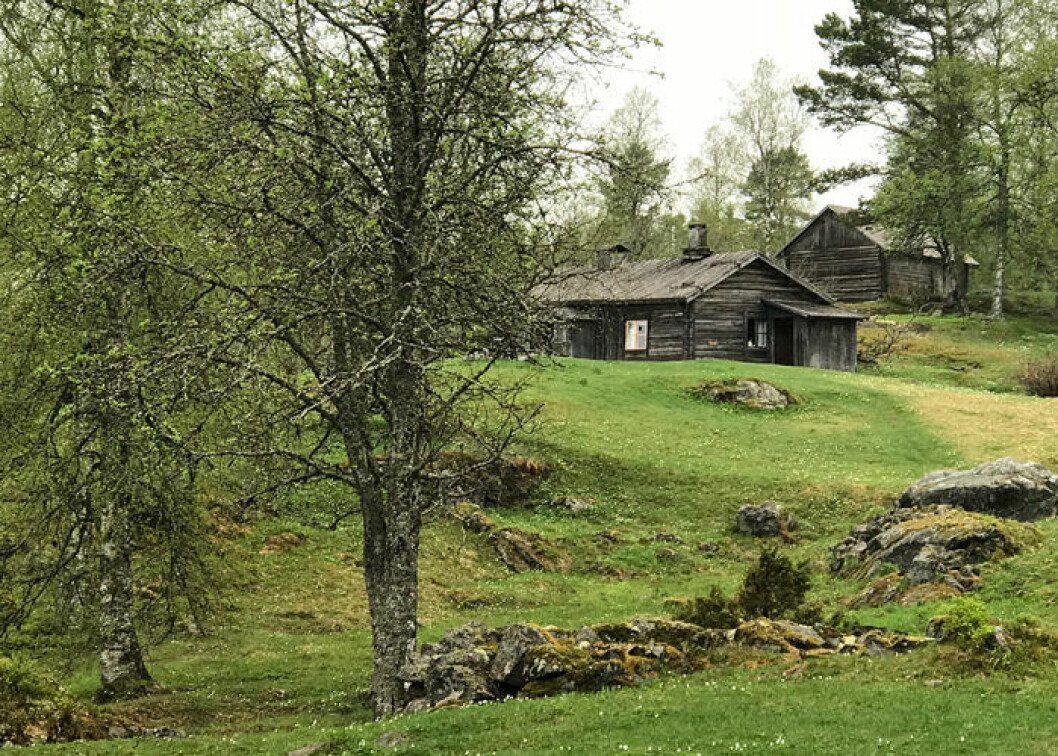 På den här leden vandrar du både i Norge och Sverige. Foto: Torsby Turistbyrå Signaturled Värmland.