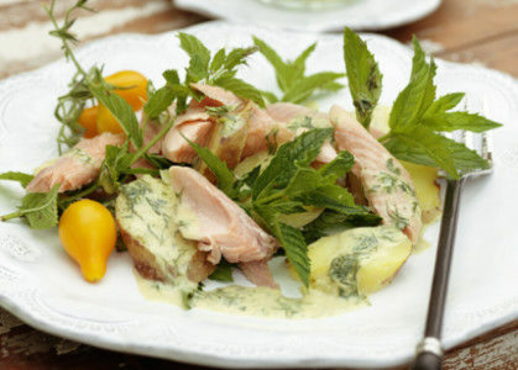 varmroktlaxsallad