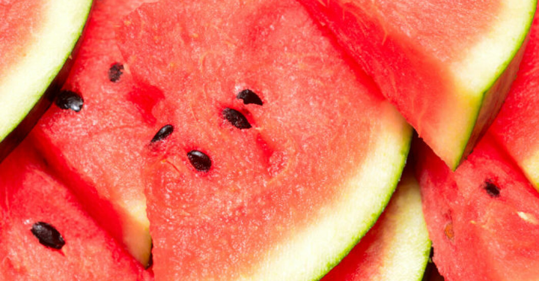Melon är lika nyttigt som gott och bland det bästa du kan äta i sommar. Vi har samlat våra bästa recept!
