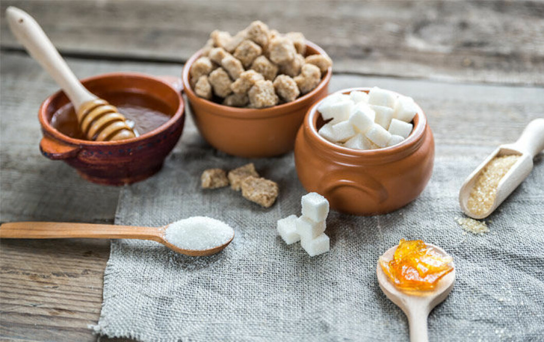 vitt-socker-honung-kokossocker-agavesirap-stevia