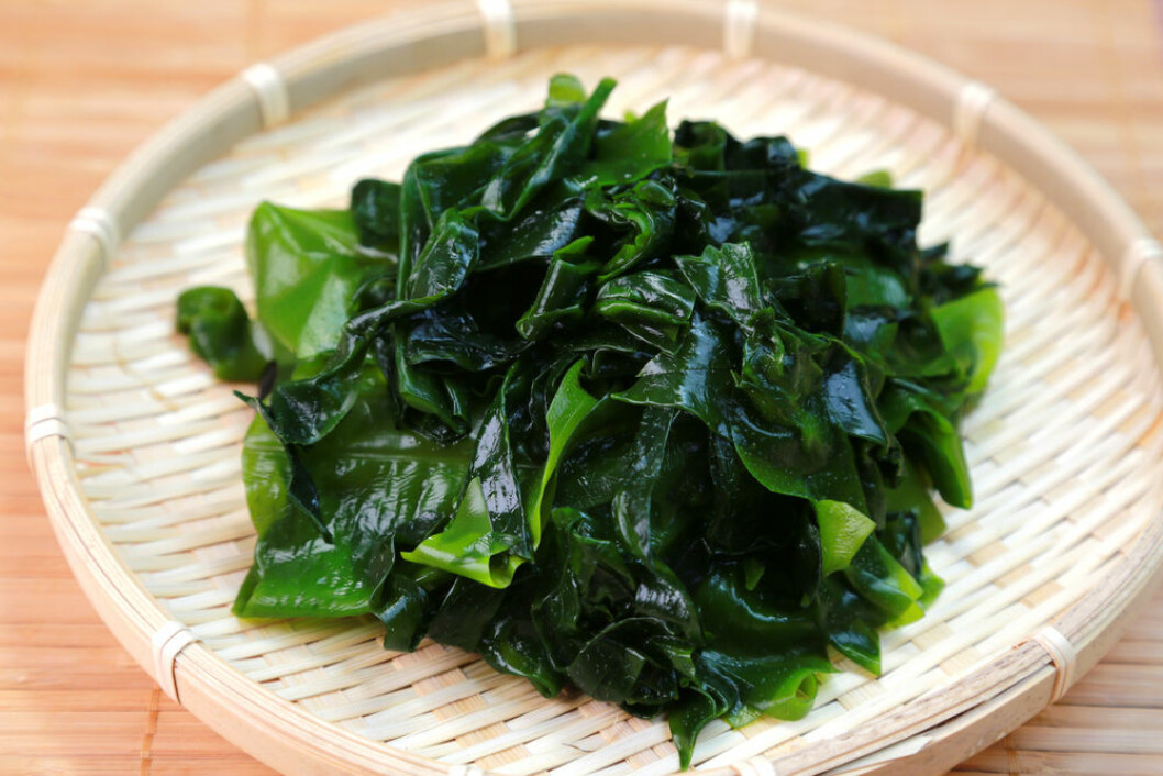 Wakame, sjögräs.
